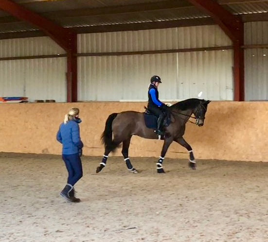 Transitions, Transitions, Transitions!