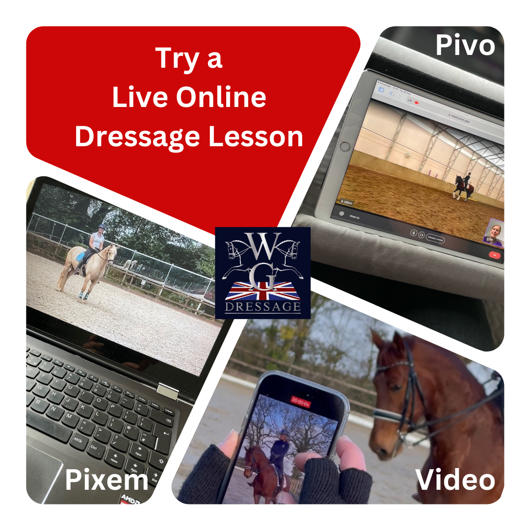 Try a Live Online Dressage Lesson