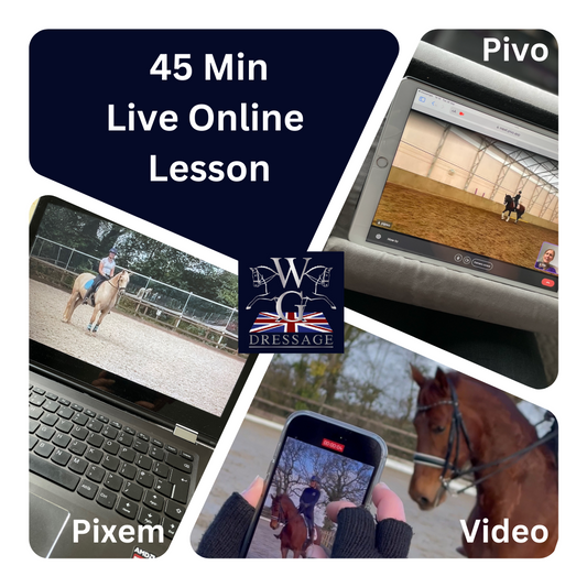 45min Online Dressage Lesson