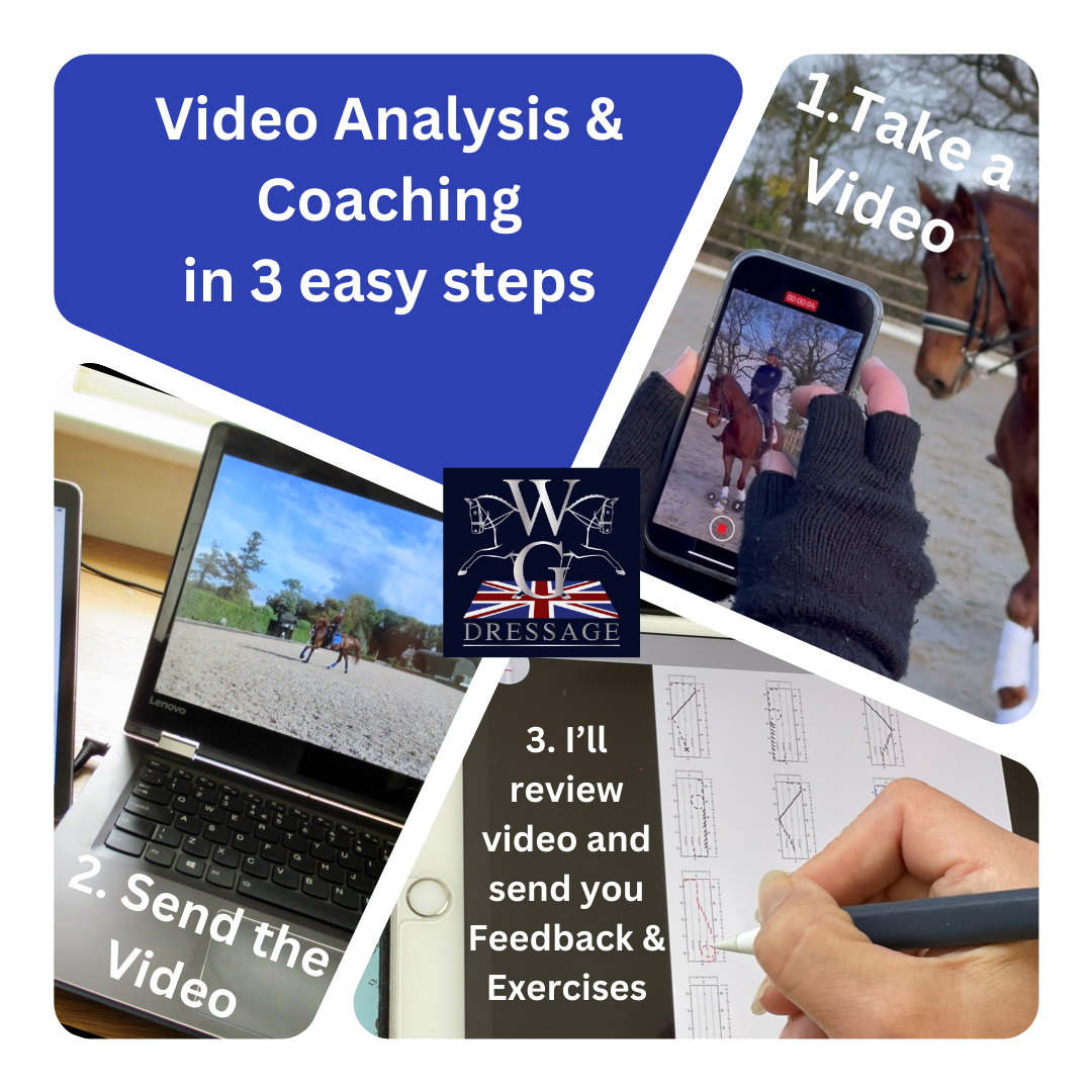Dressage Video Analysis & Coaching