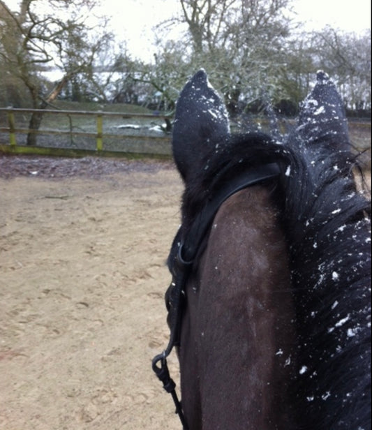 Winter Dressage Training: Tips for Staying Motivated in Cold Weather