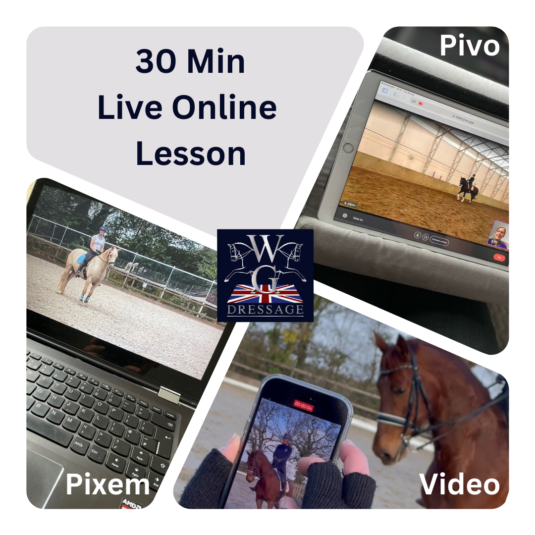 30 min Online Dressage Lesson